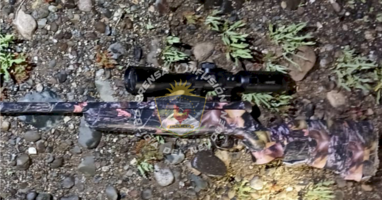 intentaban-cazar,-los-pararon-en-la-ruta-40-de-neuquen-y-descartaron-un-rifle-de-largo-alcance:-que-paso