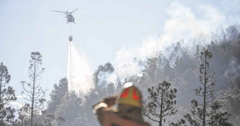 incendios-forestales:-pedido-solidario-y-llamado-a-la-reflexion
