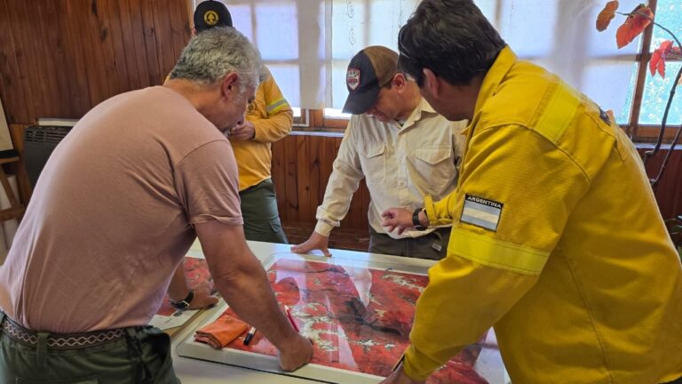 Continúa el incendio en el Nahuel Huapi y ya arrasó con unas 2176 hectáreas de bosque