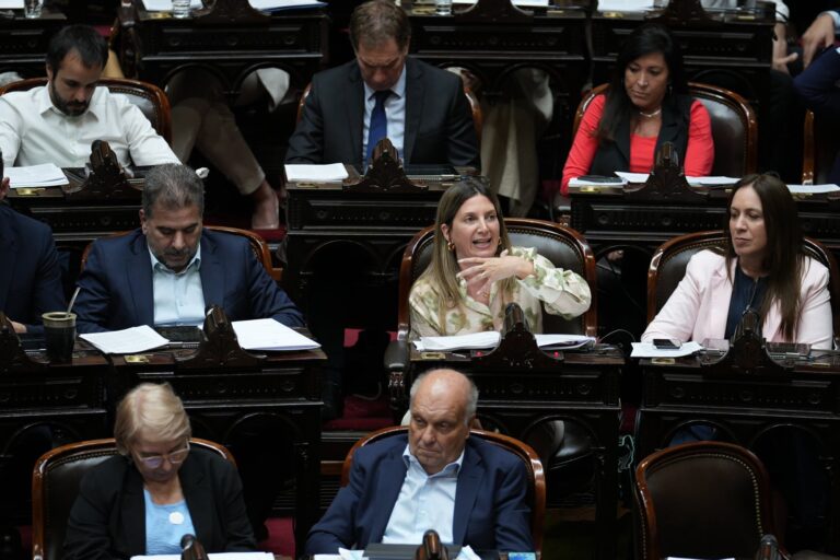 Ficha limpia: Lospennato cree que se aprobará en Diputados aunque duda de su sanción en el Senado