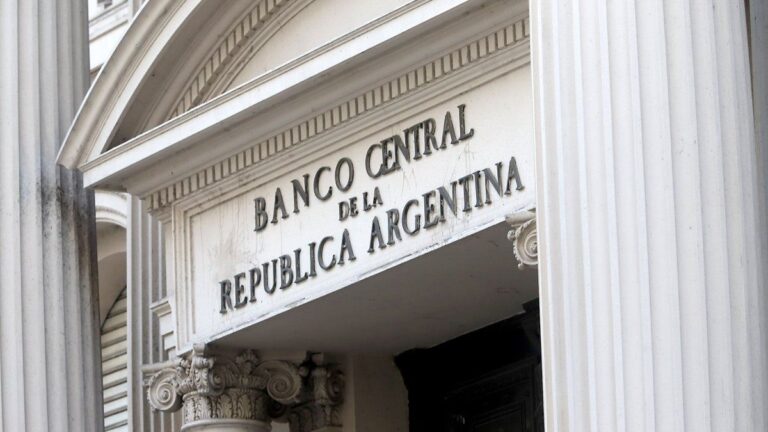 Exdirector del BCRA advierte: «No hay dólares suficientes para enfrentar una corrida»