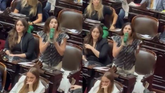 Marcela Pagano sacó un megáfono en plena sesión y tildó a Martín Menem de «fascista»