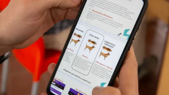 Científicos mendocinos desarrollaron una App para registrar a perros callejeros