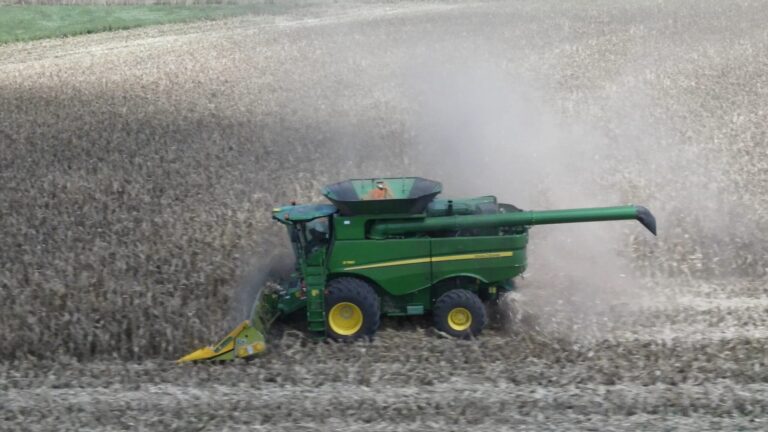 Los costos en aumento esmerilan la rentabilidad esperada del maíz 2025/26