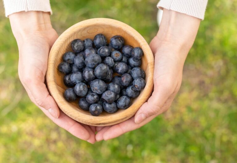 El pequeño fruto que lidera el ranking de salud por su alto valor nutricional, según expertos