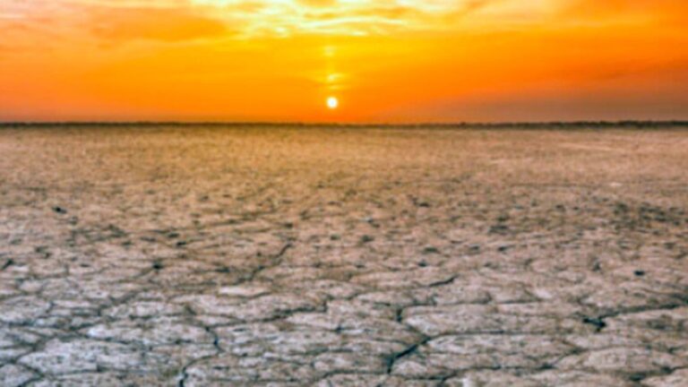 Alerta meteorológica: podría volver «La Niña» a la Argentina y ya se analizan sus posibles efectos en el clima