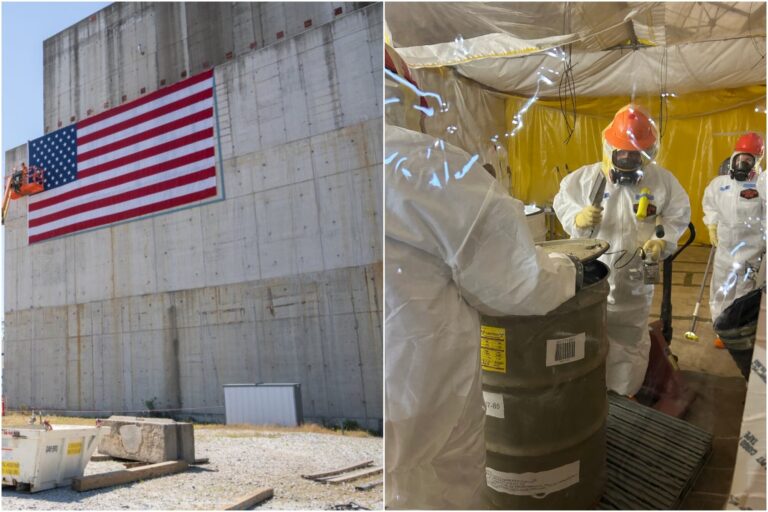 Trabajaban en una planta de Carolina del Sur y hallaron avispas radiactivas: en el lugar se fabricaron bombas nucleares