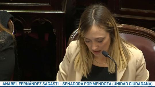 Furcio viral de Fernández Sagasti: «El Interbloque de Unión por la Plata se va a abstener…»