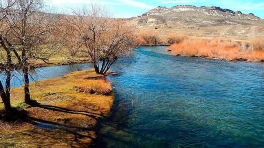 Preocupa el estado del agua en el río Chimehuín en Neuquén