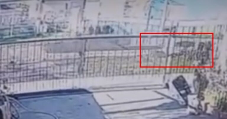 Un perro fue arrastrado atado a un auto en La Plata: vecinos vieron el video y rescataron al animal