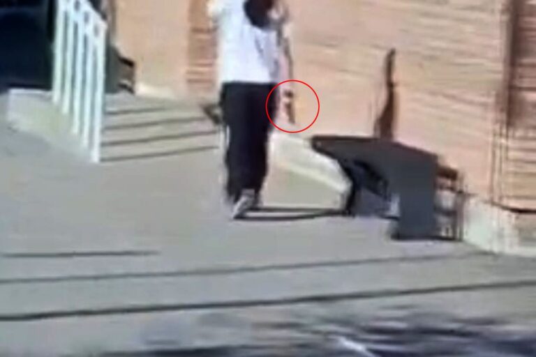 Qué se sabe de la adolescente que fue armada al colegio en Mendoza y disparóvariasveces