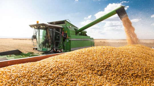 Comenzó la siembra de maíz en la zona núcleo y se espera la mayor producción en 15 años