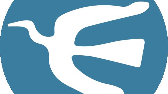 Cómo será la primera escuela bilingüe y digital que erige la Ciudad