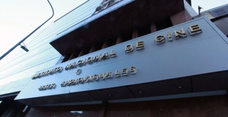 Milei vuelve a atacar al cine argentino. Cuál es la situación del sector?