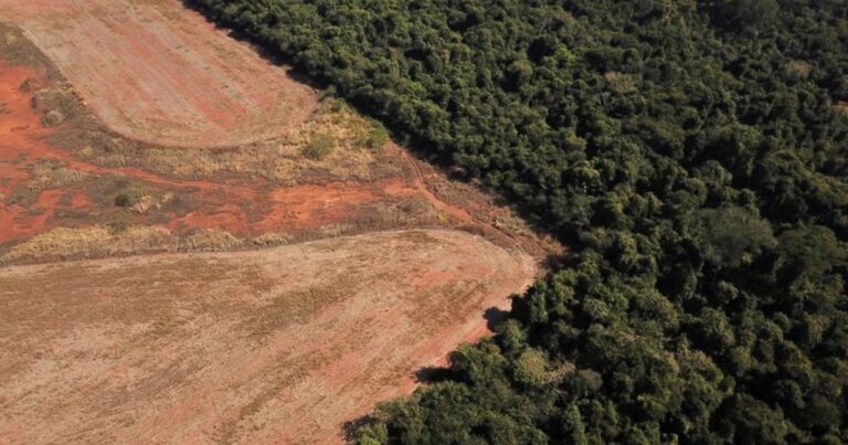 La Unión Europea volverá a aplazar la aplicación de la ley contra la deforestación
