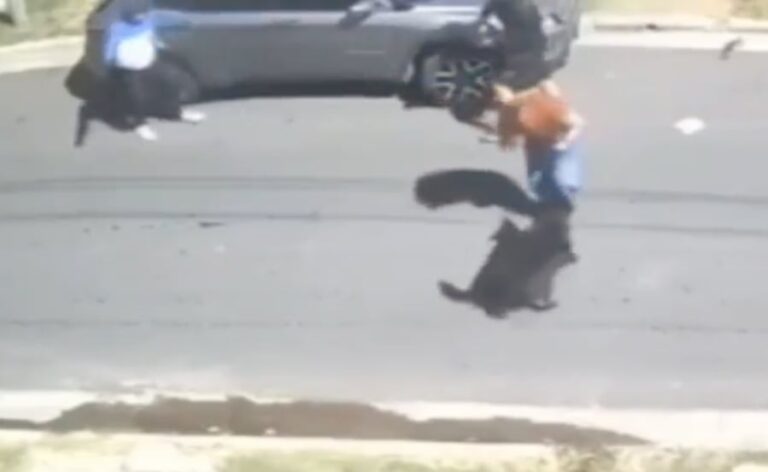 Violento robo de auto en Ramos Mejía: golpearon a una mujer