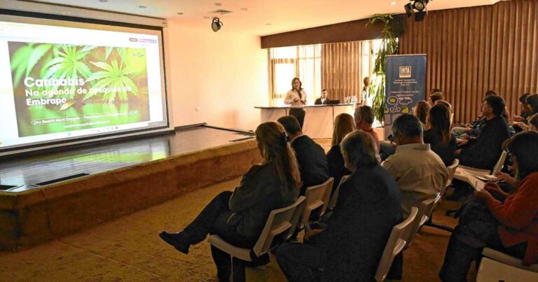 Representantes del INTA y Embrapa durante el encuentro binacional de cannabis medicinal en General Roca.