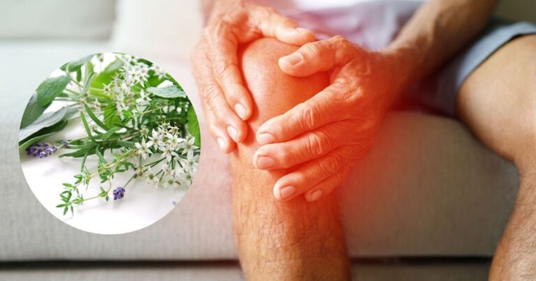 Ilustración de una articulación de la rodilla mostrando el desgaste del cartílago típico de la artrosis.