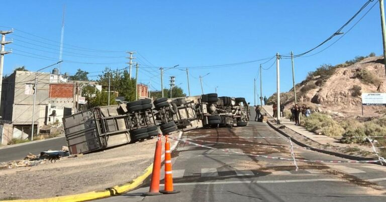 Camión volcado en la calle con cajas de pollos congelados esparcidas en la vía, cerca del Parque de los Dinosaurios en Neuquén.