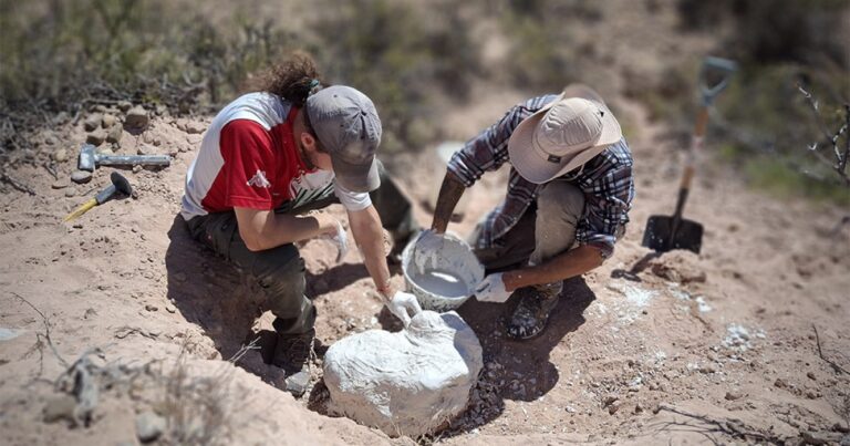 Ilustración de un cocodrilo prehistórico en un ambiente árido, representando el hallazgo fósil en Paso Córdoba, Río Negro.