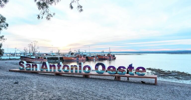 Ilustración de una balanza de la justicia frente a un edificio escolar