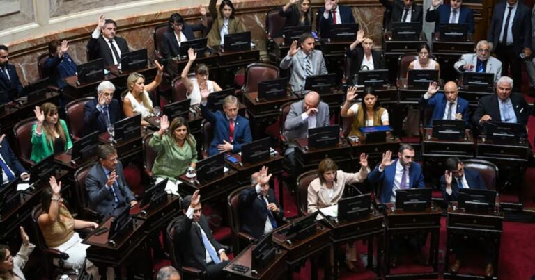 Ministerio de Economía y Senado de la Nación Argentina, lugar de debate de la ley.