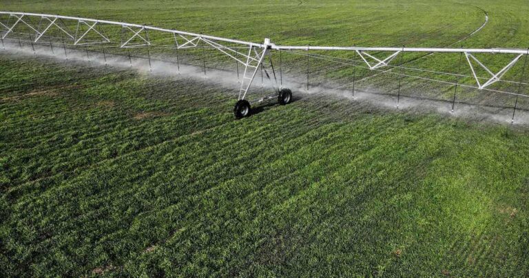 Ilustración de un gráfico de crecimiento junto a un edificio de oficinas, representando inversiones para Pymes.