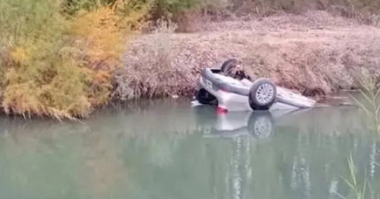Operativo de rescate en un canal de riego en zona rural de Cinco Saltos.