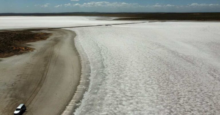 Mapa conceptual de la ubicación del proyecto de litio Don Luis y Otro en Salinas del Diamante, Mendoza