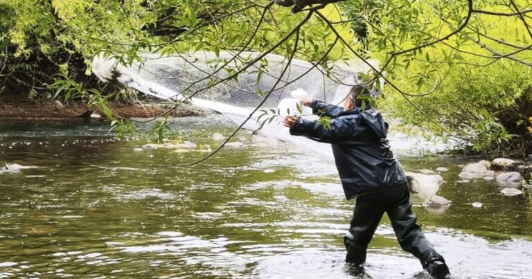 Investigadores tomando muestras de agua en un río de la Patagonia
