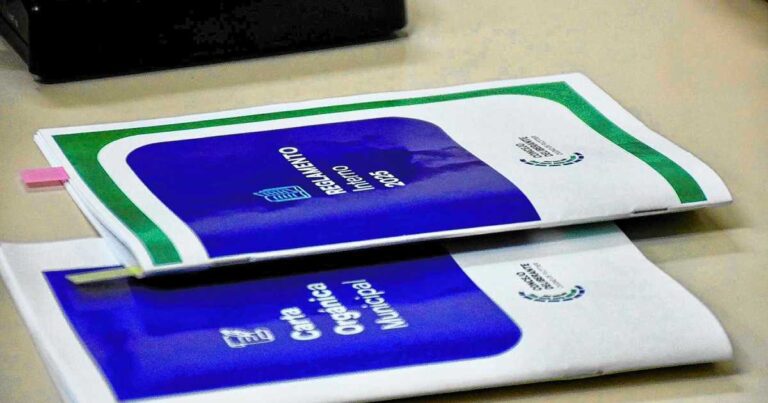 Concejo Deliberante de Plottier en sesión