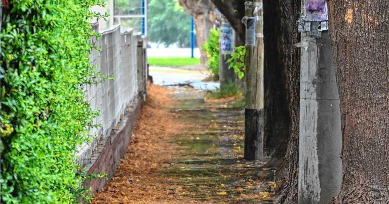 Mapa del pronóstico del tiempo mostrando la región del Alto Valle de Río Negro y Neuquén