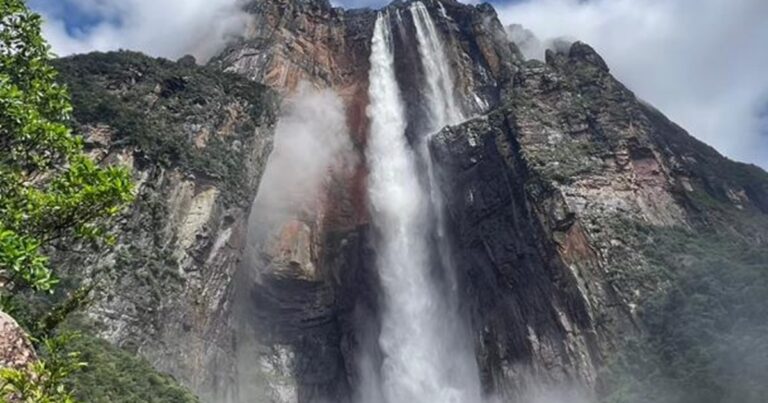 Vista panorámica del Salto Ángel, la cascada más alta del mundo, en medio de la selva venezolana.