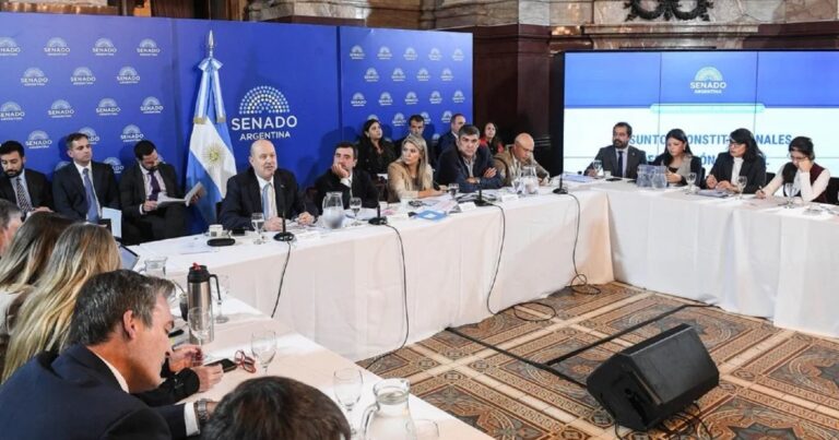 Senadores en sesión de comisión en el Congreso de la Nación