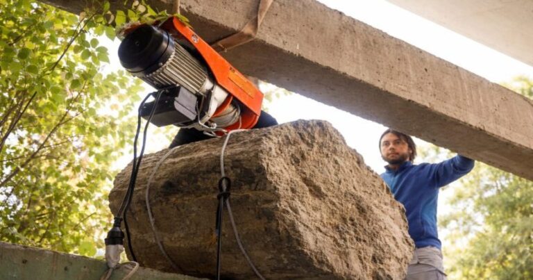 Ilustración de un tronco fósil de gran tamaño, representando el hallazgo paleontológico en Neuquén.